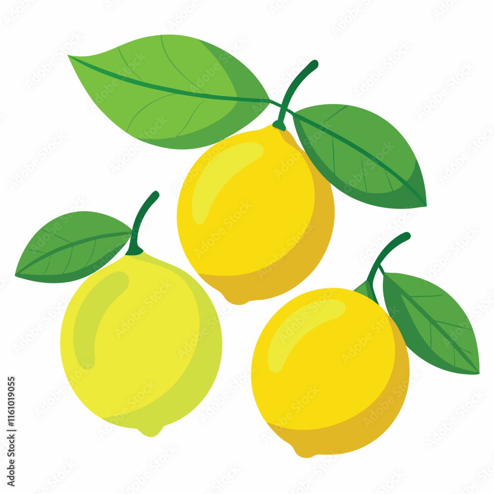 Fresh Lemon with Green Leaves Illustration Design Fresh Lemon with Green Leaves Illustration Design