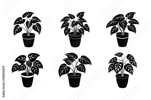 Pothos (Epipremnum aureum) design, labeled silhouette vector art illustration.