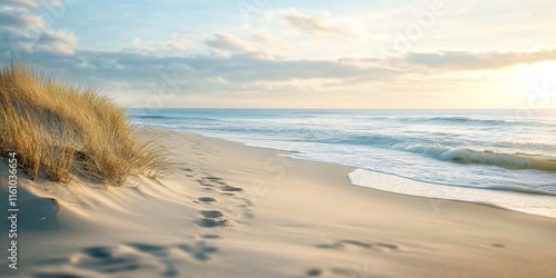 Tranquil deserted wild sandy beach captured in the soft evening light, highlighting the beauty of the deserted wild small sandy beach with selective focus.