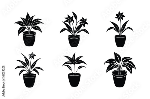 Spiderwort (Tradescantia zebrina) design, labeled silhouette vector art illustration.