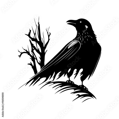 Black crow on tree branch. Vector illustration isolated from background. photo