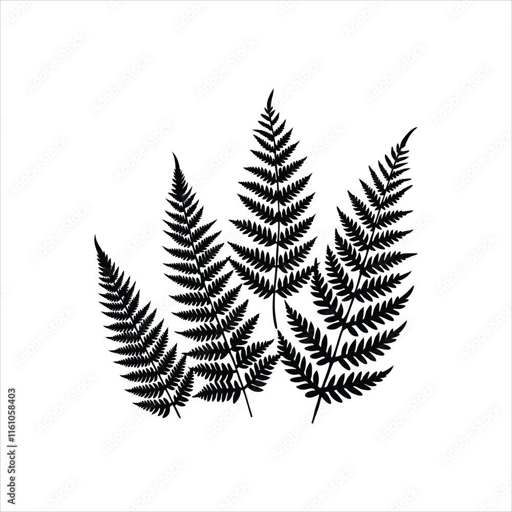 A black and white drawing of a plant with leaves A black and white drawing of a plant with leaves