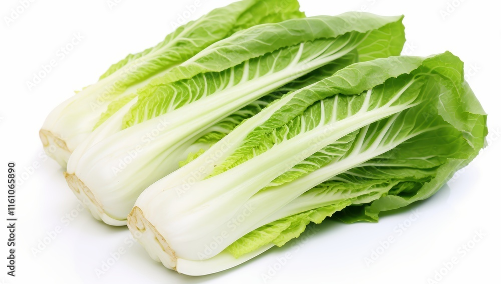 fresh chinese cabbage on a white background fresh chinese cabbage on a white background