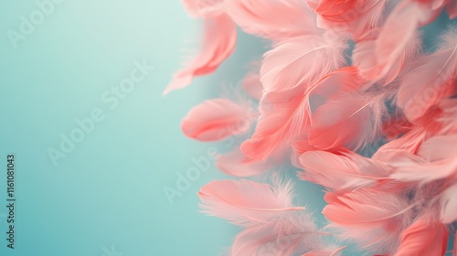 Delicate soft pink feathers floating gently on a serene pastel blue background creating a tranquil and elegant atmosphere.