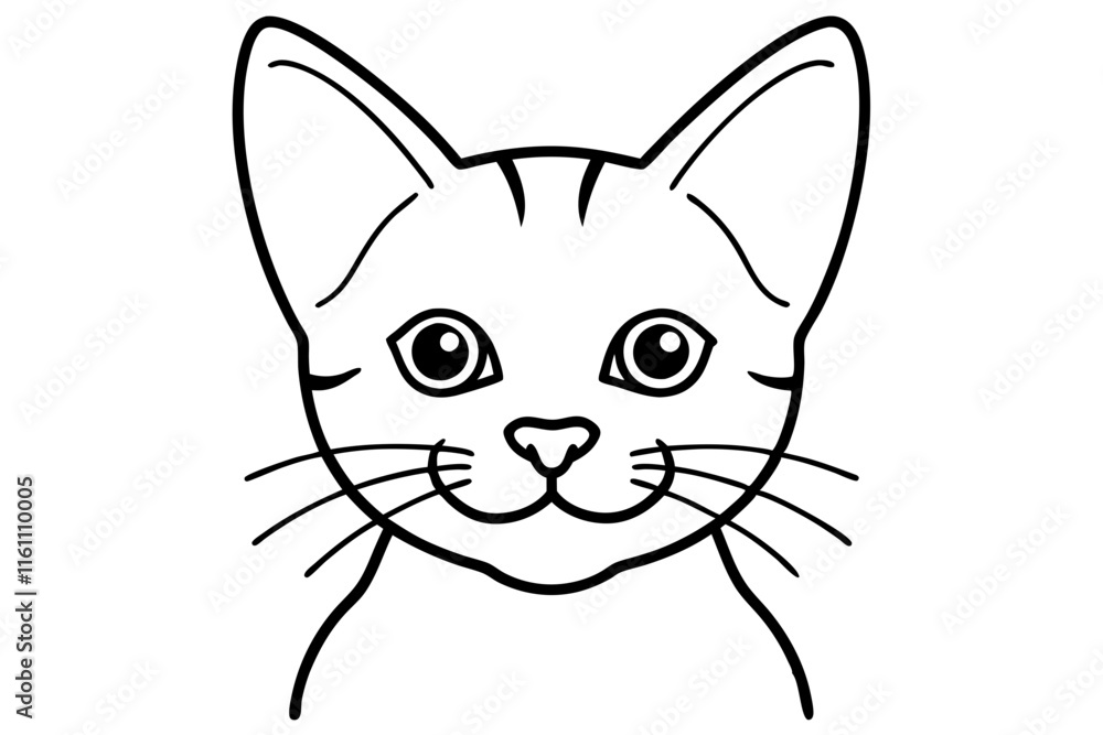 cat cat