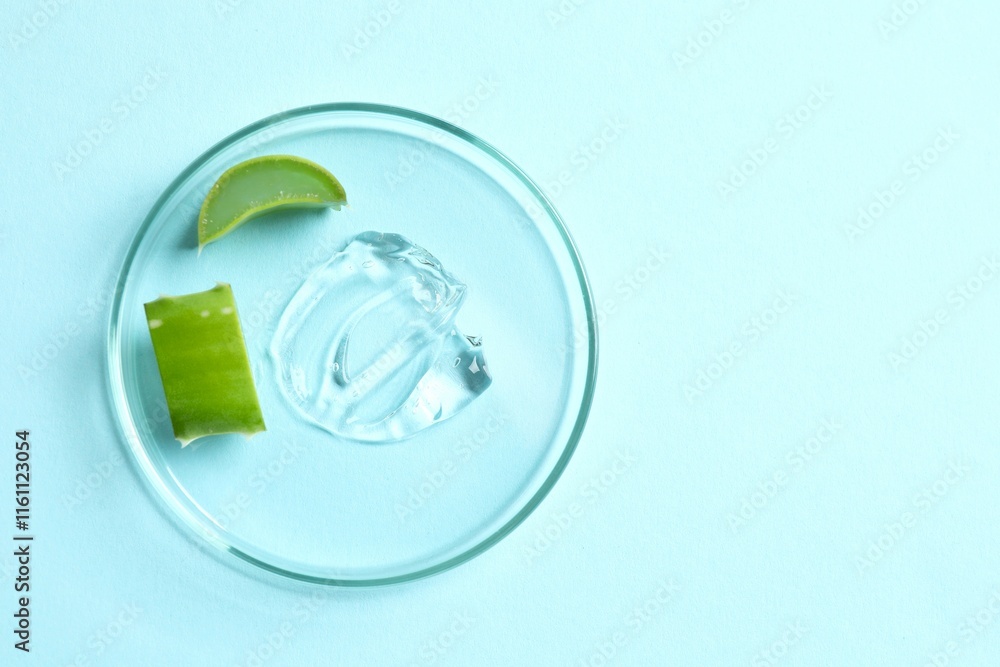 Petri dish, cosmetic gel swatches with aloe on color background, copy space. Bio science research, biochemistry, organic skin care concept Petri dish, cosmetic gel swatches with aloe on color background, copy space. Bio science research, biochemistry, organic skin care concept