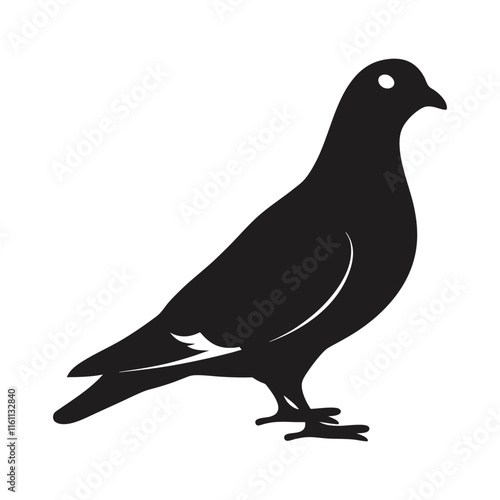 silhouette of a pigeon