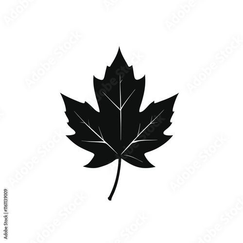 maple leaf illustration