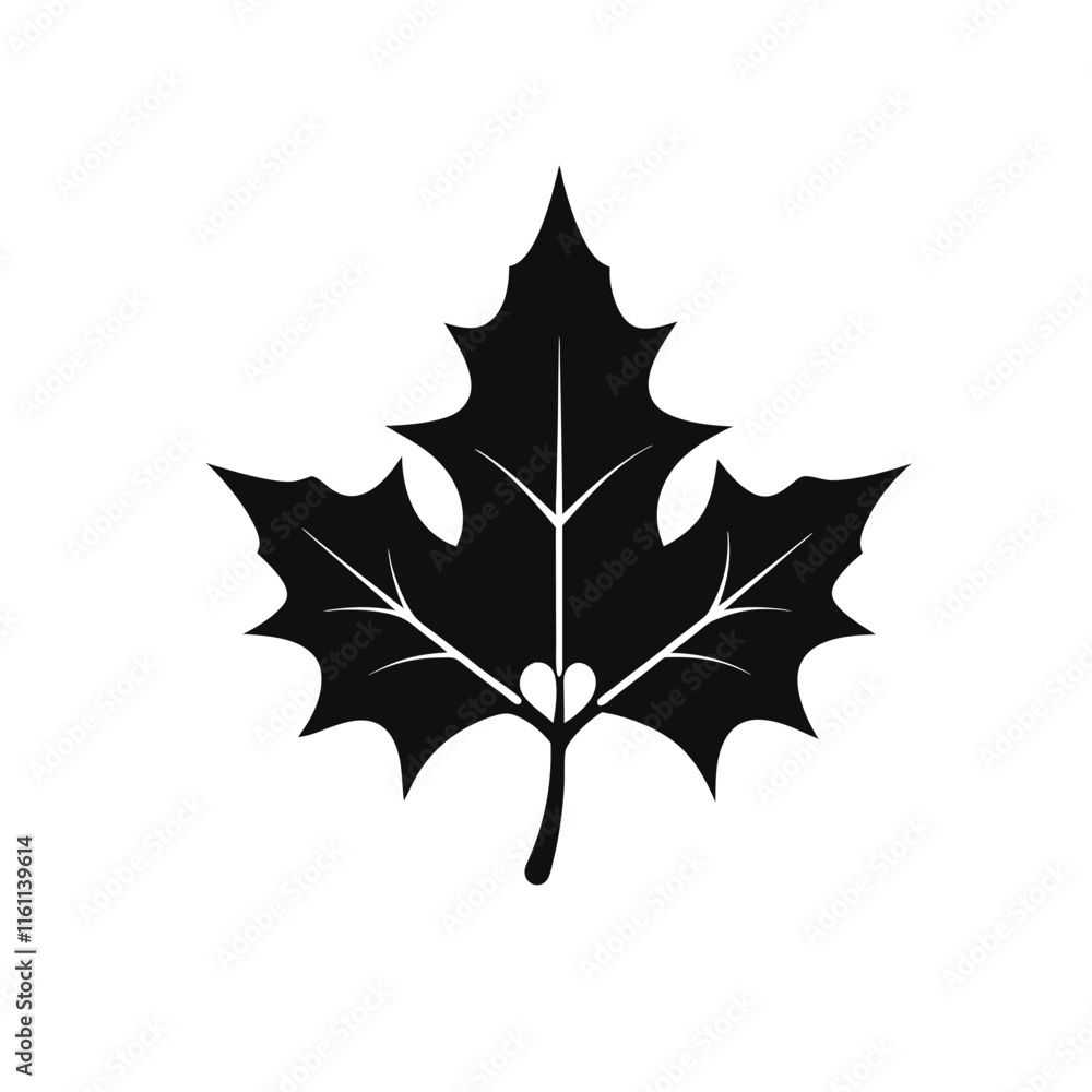 maple leaf isolated on white maple leaf isolated on white