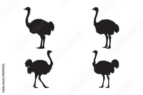 Black Ostrich Silhouette Collection for Wildlife Design