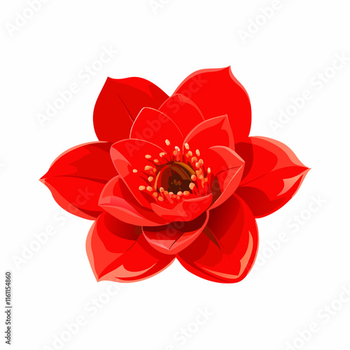 ed flower Bombax ceiba on white background vector illustration (6)