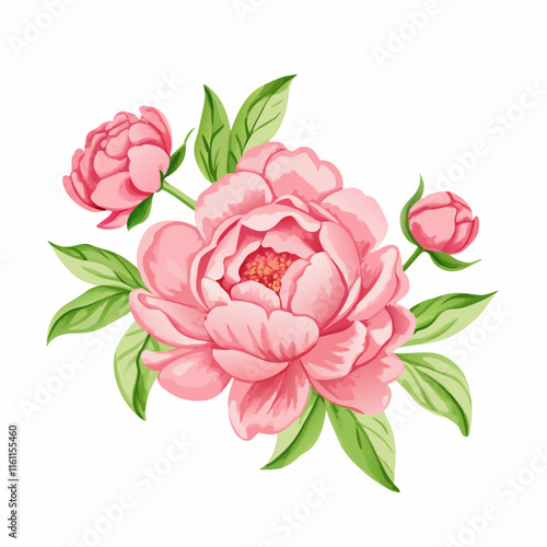 Hand drawn pink peony flower vector illustration (1)