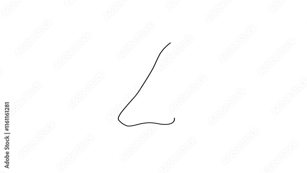 nose on white background animation video nose on white background animation video