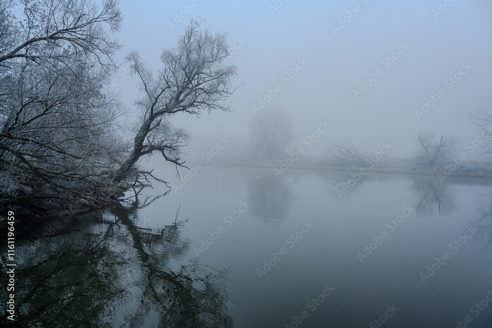 Fototapeta premium Ein kalter nebliger Wintertag mit Raureif 