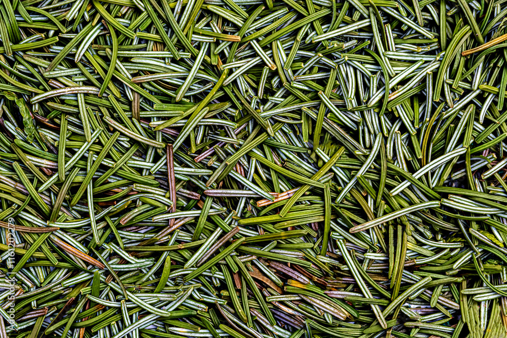 Christmas tree needles texture background Christmas tree needles texture background