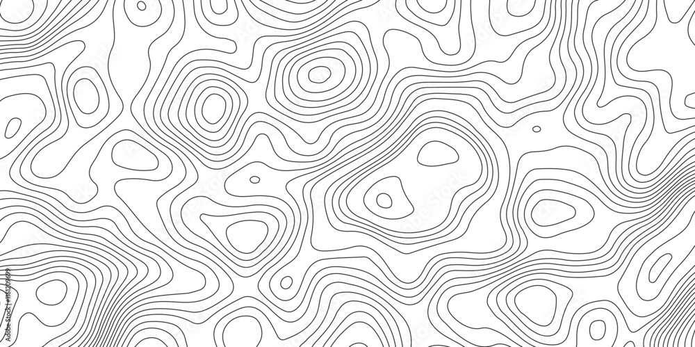 Topography and geography map grid abstract backdrop, Modern design with White background. Topography and geography map grid abstract backdrop, Modern design with White background.