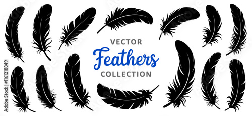 Vector collection of black feather silhouettes on white background