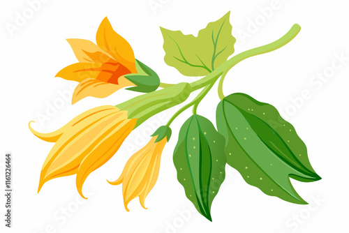 Vibrant Squash Blossoms, Blooming Branch, Yellow Flowers, Green Leaves, Fresh Harvest