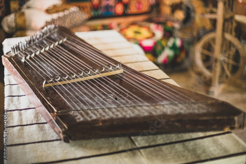 Ukrainian string instrument  photo