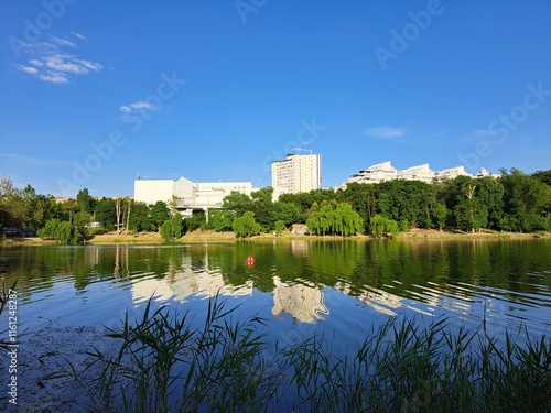 reflection in the pond