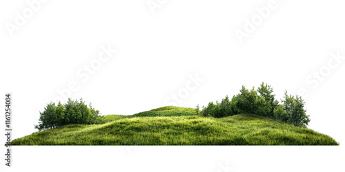 Fototapeta Naklejka Na Ścianę i Meble -  Panoramic view of lush green grass forest with trees on a hill on a white background