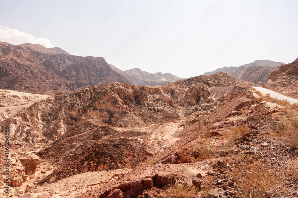 Fototapeta premium A desert landscape with mountains in the background