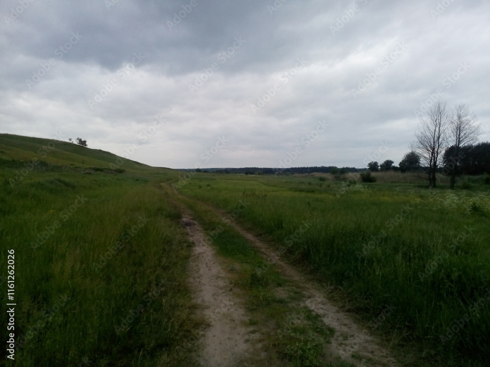 Obraz premium road in the field