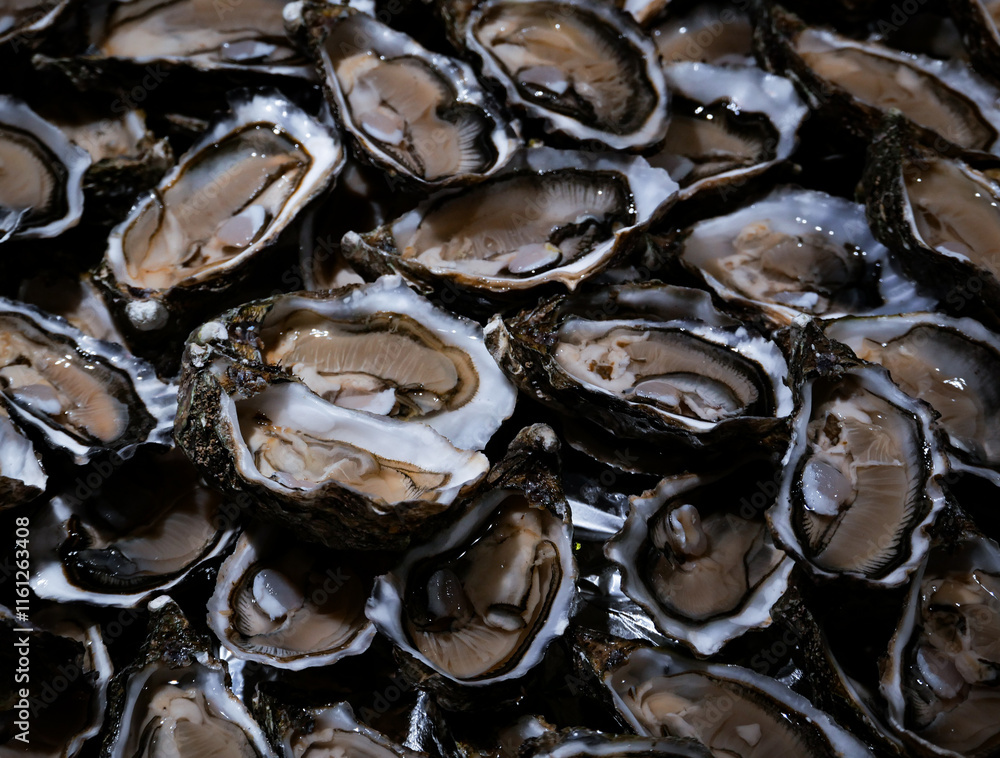 oysters on ice for nice dinner oysters on ice for nice dinner