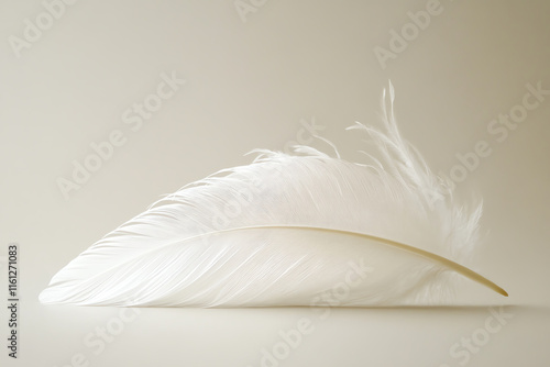 Immerse yourself in the soft edges of a white feather photo