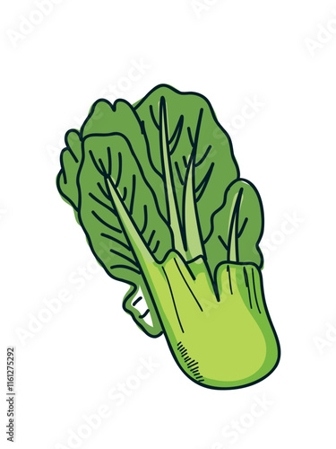 Cute doodle napa cabbage in vector format