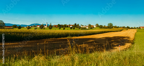 Alpine summer view near Tauting, Eglfing, Weilheim-Schongau, Bavaria, Germany photo