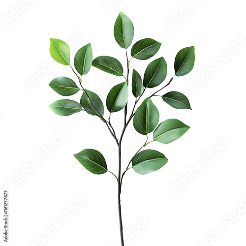 Lush Green Branch Photography: A Close-Up of Vibrant Foliage