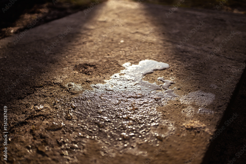 The glow of the December sun reflected in a puddle.