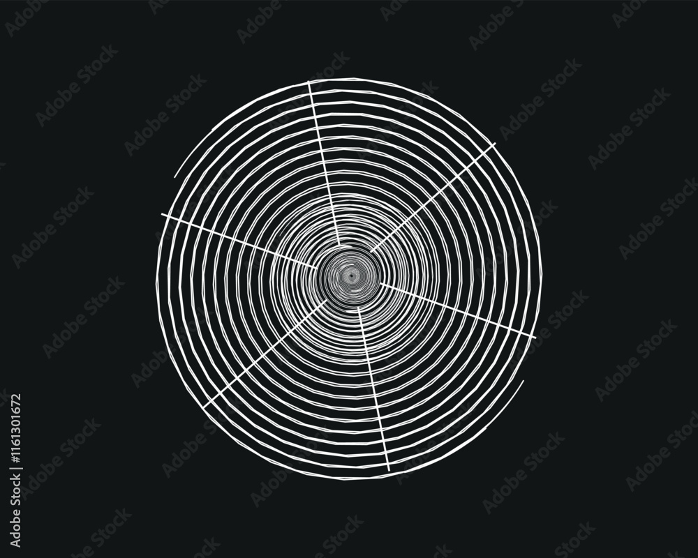 Spider net vector art illustration isolated on black background Spider net vector art illustration isolated on black background