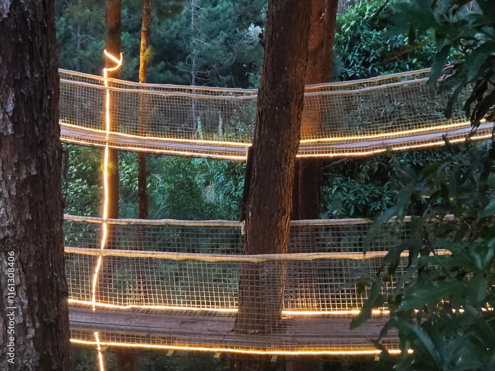 Fototapeta premium suspension bridge with led light