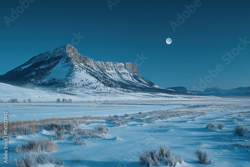 Winter Holiday Landscape