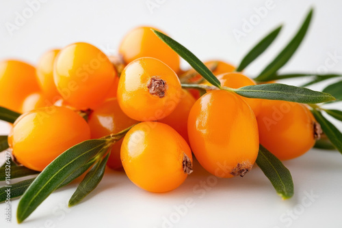 Sea Buckthorn Isolated