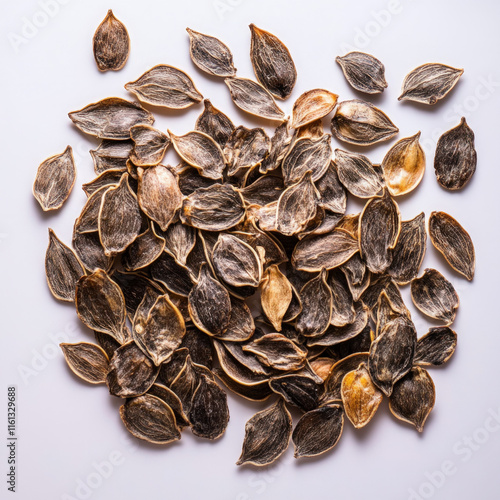 Apple Seeds Isolated