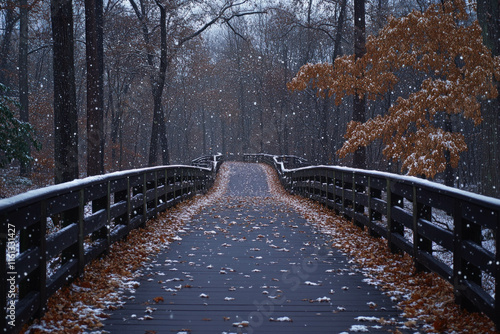 Winter Wonderland Background