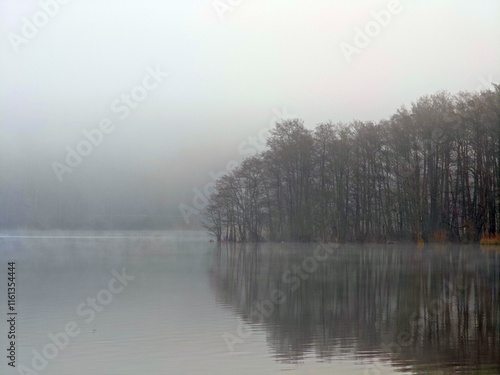 Nebel am Lütauer See bei Mölln