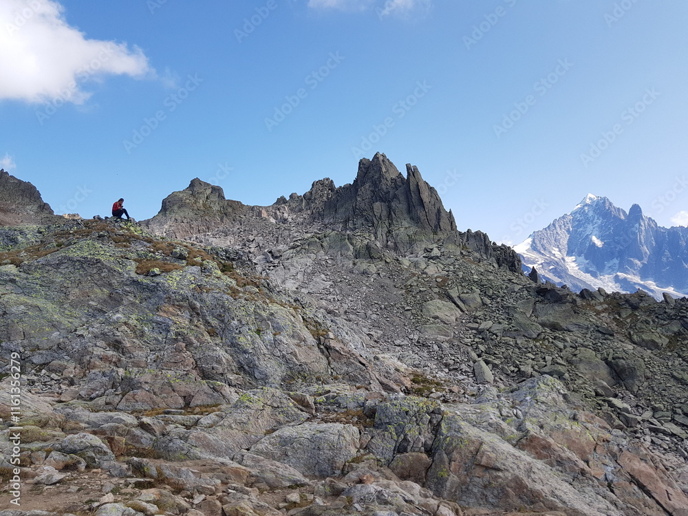 Réserve des Aiguilles rouges, Alpes françaises Réserve des Aiguilles rouges, Alpes françaises