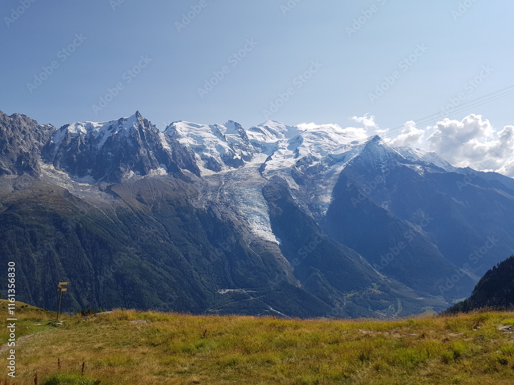 Réserve des Aiguilles rouges, Alpes françaises Réserve des Aiguilles rouges, Alpes françaises