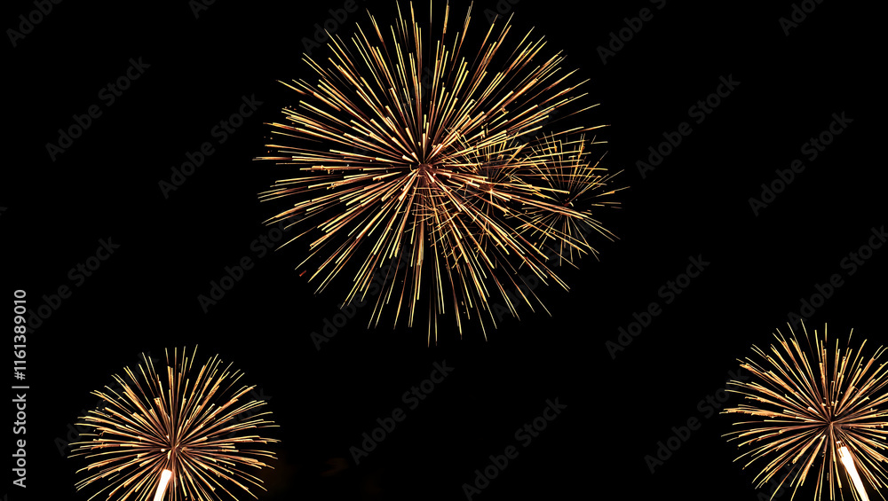 Happy Chinese new year 2025. Chinese new year banner Happy Chinese new year 2025. Chinese new year banner