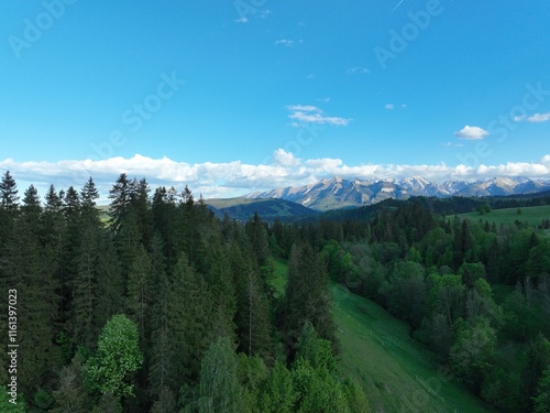 Wiosenny krajobraz górski, Góry na tle błękitnego nieba, 