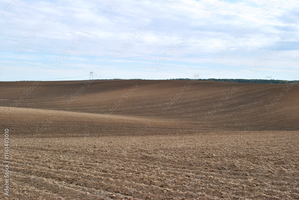 plowed field in autumn plowed field in autumn