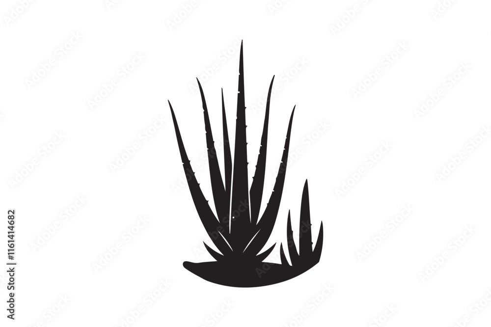 Alovera vector silhouette Alovera vector silhouette