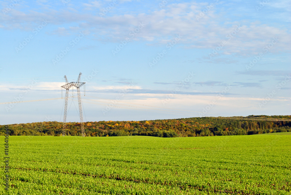 pillar in field