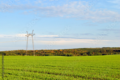 Obraz na płótnie pillar in field w salonie