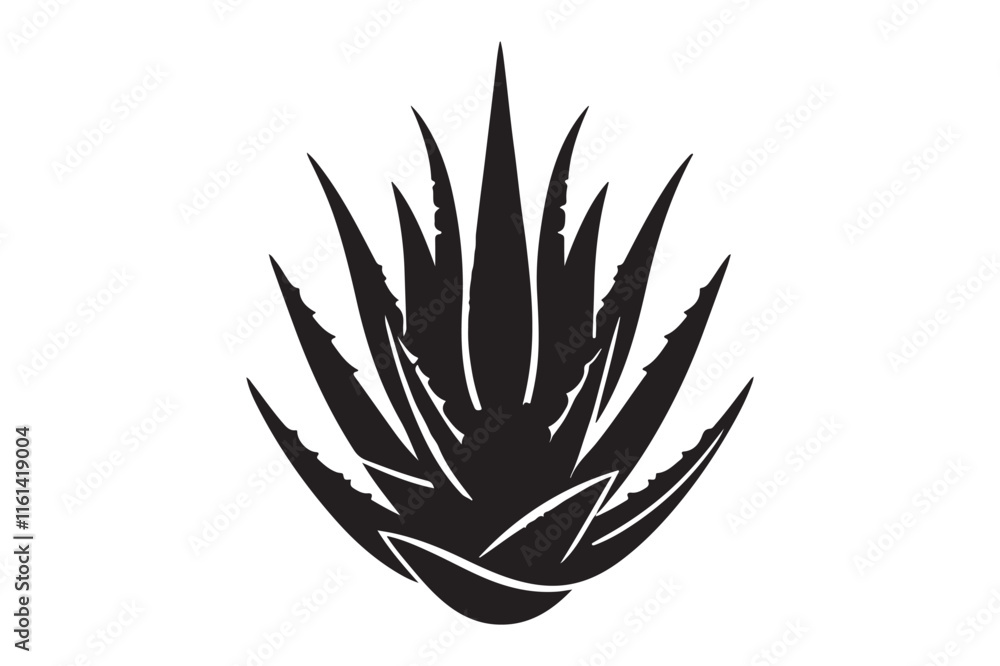 Alovera vector silhouette Alovera vector silhouette