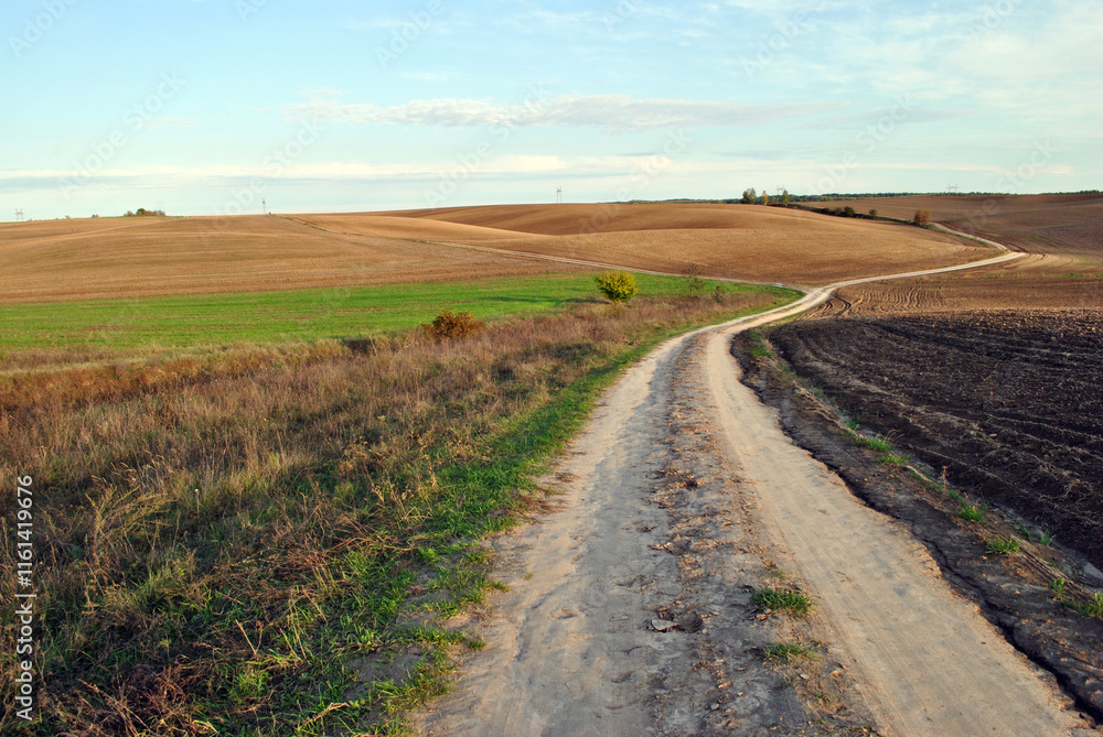 road in the field